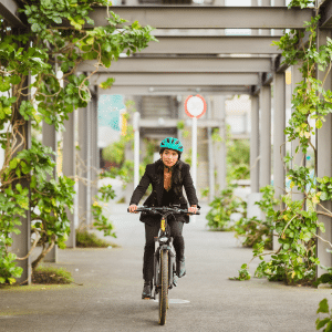 module mobilité douce